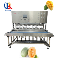 Machine à éplucher les fruits, mangue, ananas, orange, poire, papaye, acier inoxydable