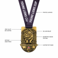 Médaille de karaté antique personnalisée en alliage de zinc avec relief 3D de lion, récompense vintage pour championnat d'arts martiaux, logo de tournoi, compétition sportive