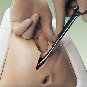 Mô Phỏng Đào Tạo Episitoomy, Cắt Đáy Chậu Và Mô Phỏng Đào Tạo Khâu - Product Image 3