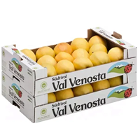 Boîtes en carton kraft végétal imprimées personnalisées Emballage en papier rigide résistant à revêtement UV pour fruits et légumes