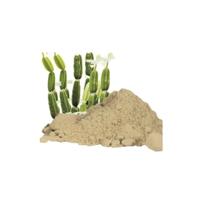 Poudre d'extrait de Cissus Quadrangularis biologique naturel de haute pureté, export direct d'usine - Product Image 6