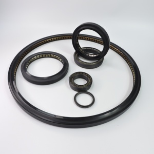 <span class=keywords><strong>Joint</strong></span> <span class=keywords><strong>de</strong></span> lèvre <span class=keywords><strong>de</strong></span> ressort <span class=keywords><strong>de</strong></span> <span class=keywords><strong>joint</strong></span> cryogénique <span class=keywords><strong>de</strong></span> grue <span class=keywords><strong>de</strong></span> <span class=keywords><strong>bras</strong></span> <span class=keywords><strong>de</strong></span> chargement marin - Product Image 1