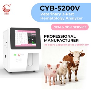 Analizador Hematológico Veterinario de Alta Velocidad de 5 Partes, Máquina Automática de Análisis de Sangre - Product Image 4