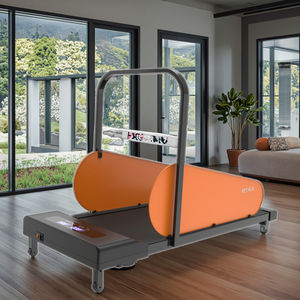 Tapis roulant électrique de haute qualité pour chiens de taille moyenne Écran LED Programme d'exercices à usage domestique avec affichage - Product Image 4