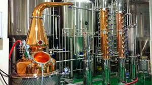 ZJ 1000 galon alkol hala distile gin sepeti damıtma ekipmanları şarap üretim hattı votka yapma makinesi