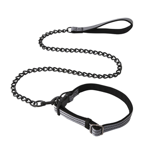 Conjunto de Correa para Mascotas Ajustable, Resistente y Duradero, de Lujo y Elegante, Collar y Correa para Perro de Acero Inoxidable de Alta Calidad - Product Image 1