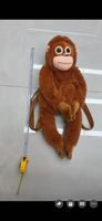Nouveau design, sac à dos en peluche singe Punch très tendance, sac à dos personnalisé en forme d'animal pour enfants, sac à dos singe Punch à la mode