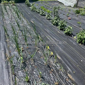 Tapis de contrôle des adventices SDM PP certifié CE, tissu à haute perméabilité à l'eau <span class=keywords><strong>pour</strong></span> la culture des fraises, des tomates, des vergers et des semis - Product Image 5