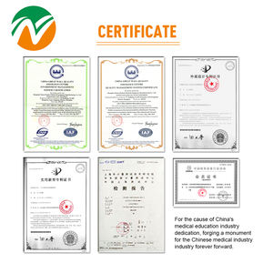 Modelo de Punción Periférica y Punción Venosa <span class=keywords><strong>Central</strong></span> para Canulación - Product Image 6