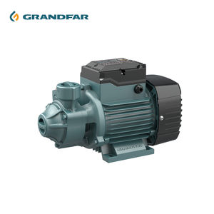 GRANDFAR QB OEM Pequena Turbina Periférica Vertical Bomba de Água Conjuntos Bomba Periférica Elétrica de Alto Desempenho de Alta Pressão - Product Image 1