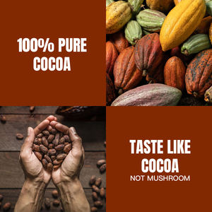 Commercio all'ingrosso Ghana fave di Cacao Cacao in polvere confetteria materia prima di alta qualità Cacao ingredienti in sacchetti - Product Image 2