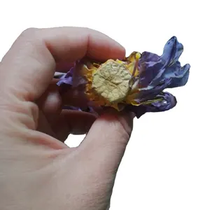 Fiori di Ninfea Blu Naturale Essiccati e Fiori del Ninfea Sacro per Tè - Product Image 1