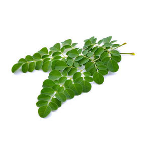 100% 純粋なモリンガオレフェラパウダー天然モリンガリーフエキス99% モリンガリーフパウダー - Product Image 2