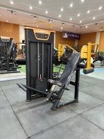 Appareil de musculation multifonctionnel pour le dos, modèle LAND Fitness Multi-Station Back Row, pour usage commercial en salle de sport