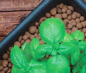 Boules <span class=keywords><strong>d</strong></span>'<span class=keywords><strong>argile</strong></span> organique expansée en gros milieu de culture de fleurs de jardin hydroponiques légères - Product Image 5