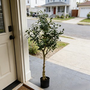 Envío Directo de Fábrica, Árboles de Olivo Artificiales de Plástico Desmontados y Ensamblados, Decoración Navideña y para Bodas - Product Image 4