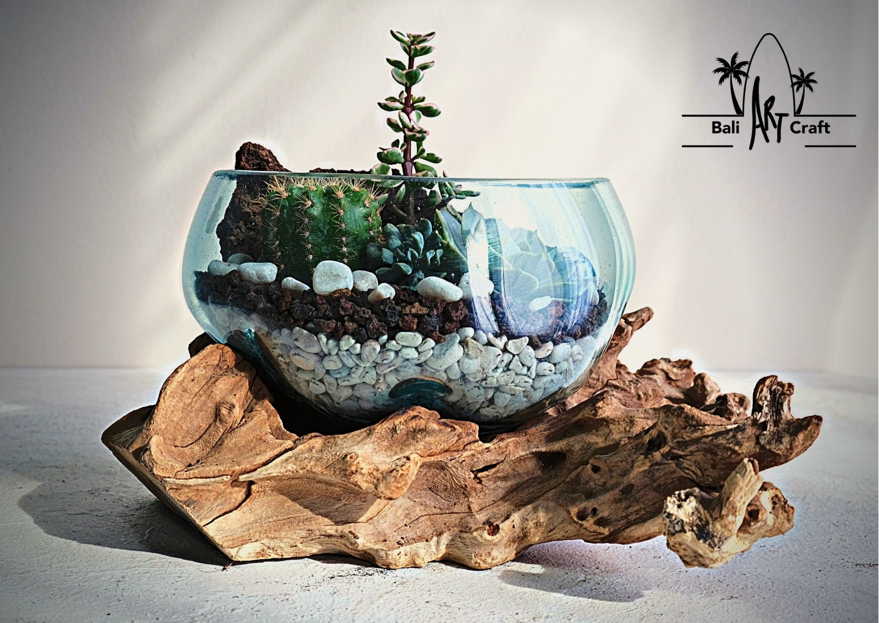 Kit de terrarium