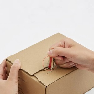 Emballage en carton ondulé à faible MOQ : Personnalisation de la marque (Chine et Vietnam) - Product Image 1