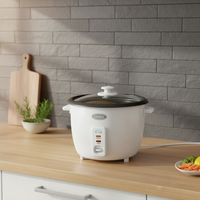 Cuisinière à riz commerciale pour restaurant, grande capacité, corps en acier inoxydable, cuisinière à riz automatique pour appareils de cuisine