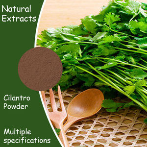 Extrait <span class=keywords><strong>de</strong></span> <span class=keywords><strong>coriandre</strong></span> en poudre <span class=keywords><strong>de</strong></span> feuilles <span class=keywords><strong>de</strong></span> <span class=keywords><strong>coriandre</strong></span> et <span class=keywords><strong>de</strong></span> persil, fourni directement par l'usine - Product Image 3