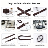 Individuelles Markenlogo OEM Reflektierende Nylon-Hundeleine mit Weichem Neopren-Gepolstertem Griff, Robust für Mittelgroße bis Große Hunde