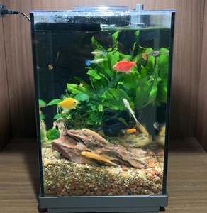 <span class=keywords><strong>Aquarium</strong></span> intelligent tout-en-un rectangulaire professionnel pour la maison, avec rotation à 360 degrés, petit <span class=keywords><strong>aquarium</strong></span> avec verre ultra-clair - Product Image 2