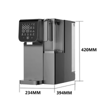 Filtre à eau de comptoir chaud et froid Ro Mini distributeur d'eau électrique purificateur refroidisseur de table et distributeur d'eau chaude