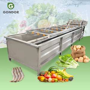 Máquina de Lavado Industrial Continua Grande para Frutas y Verduras como Sandía, Fresa y Palma, para un Lavado Limpio y Eficiente - Product Image 1