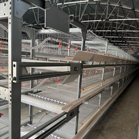 Équipement automatique de poulailler de conception moderne pour poulets de chair et poulets de ponte poulailler et système d'élevage en cage par batterie à vendre