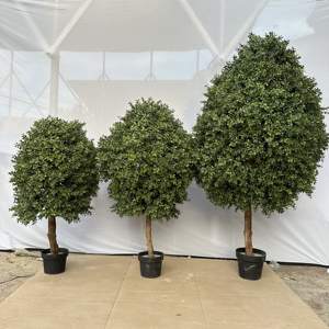 Árbol <span class=keywords><strong>de</strong></span> topiario <span class=keywords><strong>de</strong></span> globo perenne <span class=keywords><strong>de</strong></span> alta calidad, forma <span class=keywords><strong>de</strong></span> cono <span class=keywords><strong>de</strong></span> boj preservado, macetas <span class=keywords><strong>de</strong></span> topiario <span class=keywords><strong>de</strong></span> bonsái <span class=keywords><strong>de</strong></span> plantas artificiales, árbol certificado UV - Product Image 3