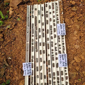 Tháp di động dọc 50M lấy mẫu ba lô Giàn Khoan chạy xăng khảo sát địa chất Giàn Khoan lõi đá - Product Image 3