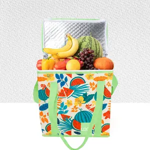 OEM/ODM ECO Sandía Cooler Bag RPET Bolsa térmica Entrega de alimentos Logotipo aislado con Ziplock