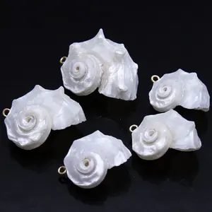36*27mm kerang alami putih liontin Keong ukuran besar bentuk hewan perhiasan gaya klasik untuk DIY kalung aksesoris anting-anting - Product Image 2