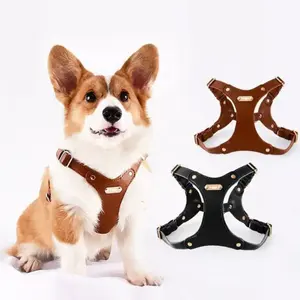 防水柔软皮革定制标志宠物胸带牵引绳，适用于中小型狗