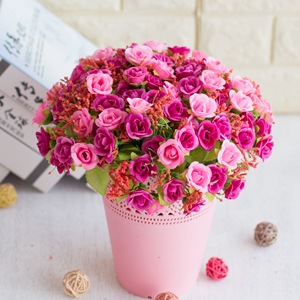 Flores Artificiales de Seda Plástica de 23 cm, para Decoración de Bodas, Fiestas, Hogar, San Valentín, Hechas en China - Product Image 3