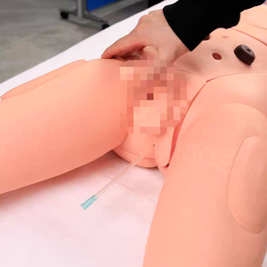 Modelo Anatômico Avançado BIX-H2400 para Treinamento em Enfermagem Medição de Pressão Arterial Função Completa PVC para Uso Escolar Ciência Médica - Product Image 5