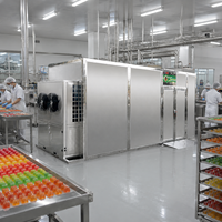 Industriële voedseldehydrator met warmtepomp voor gelatineachtige producten, uniforme dehydratatie, energiezuinig ontwerp
