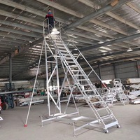 Échelle mobile en aluminium à hauteur réglable - Échelle de travail robuste de 300 kg