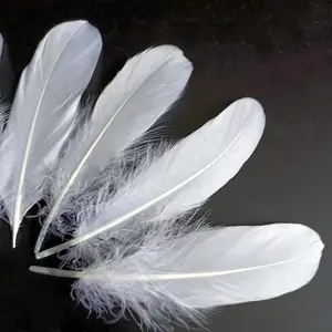 Großhandel Federn weiße Gäns Federn 15-20 cm 6-8 Zoll für Engelflügel Badminton Shuttlecock Tuchdekoration