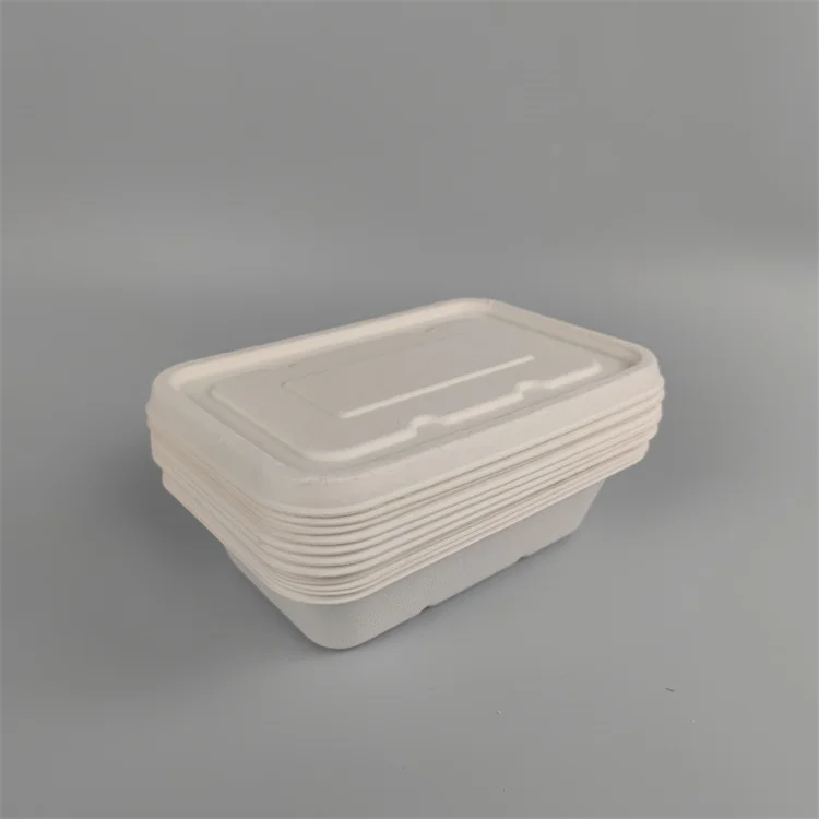 Zellstoff-Lebensmittelbehälter Zuckerrohr-Bagasse-Lunchbox
