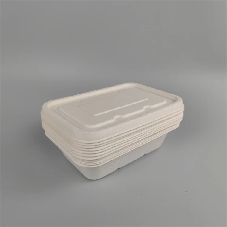 pulp food containers sugarcane bagasse lunch box