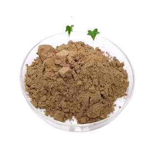 Bột Chiết Xuất Từ Lá Cây Thường Xuân Hederagenin Hederacoside C Chất Lượng Cao Cung Cấp Từ Nhà Máy - Product Image 1