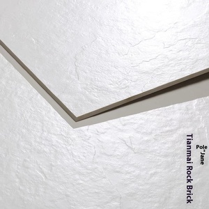 Carrelages <span class=keywords><strong>grès</strong></span> texturé blanc noirmat pour salon salle à manger hôtel anti-dérapant carreaux de sol villa 600x1200 - Product Image 2
