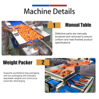 Commerciële verwerkingslijn voor wortelgewassen en fruit, geschikt voor bieten, raap en radijs, inclusief verpakkingsmachine (capaciteit 1000-1500 kg/uur)