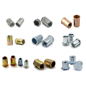 Rivnut <strong>Inserts</strong> Nutsert Flat Head <strong>Rivet</strong> <strong>Nut</strong> Stainless Steel Aluminium M3 M12 M8 M10 Knurled Closed Pop <strong>Rivet</strong> <strong>Nut</strong> - Product Image 1