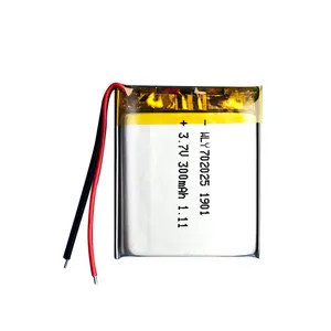 WLY Factory Direct 702025 3.7v 300mAh Lithium Polymer Batteries Cell For MP3 MP4