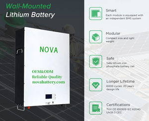 Italia CEI 0-21 Powerwall 48V 5Kwh 10Kwh Batterie Fotovoltaico Agli Ionisation Di Litio Lifepo4 De Stockage D'énergie Au Lithium Ion Batteries - Product Image 5