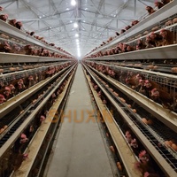 Cages de batterie de volaille de ferme de poulet d'angola poules pontes