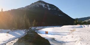 TrueRC Line-Air 5,8 MK II Par para GOGGLES <span class=keywords><strong>2</strong></span> Drones Accesorios Material de PVC Molde privado - Product Image 4