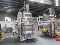 Machine d'emballage automatique multi-voies pour sachets de suppléments de graines de légumes, scellage 4 côtés, étiquetage alimentaire et chimique de haute performance